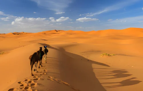 merzouga