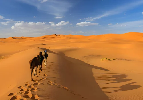 merzouga