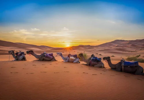 merzouga