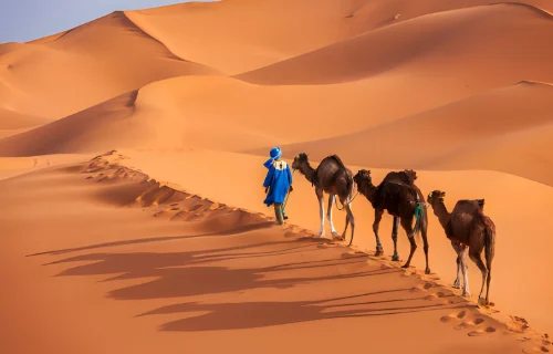 merzouga